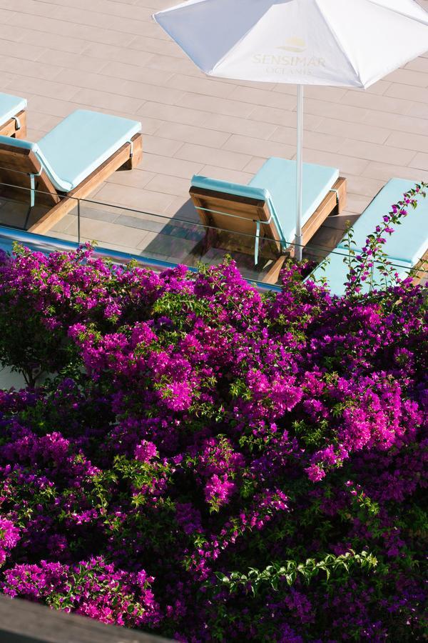 Oceanis Beach & Spa Resort Псалиди Екстериор снимка